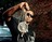 Gorilla Zoe