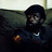 Saul Williams