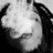 Stephen Marley