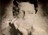 Chico Buarque