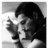freddie mercury